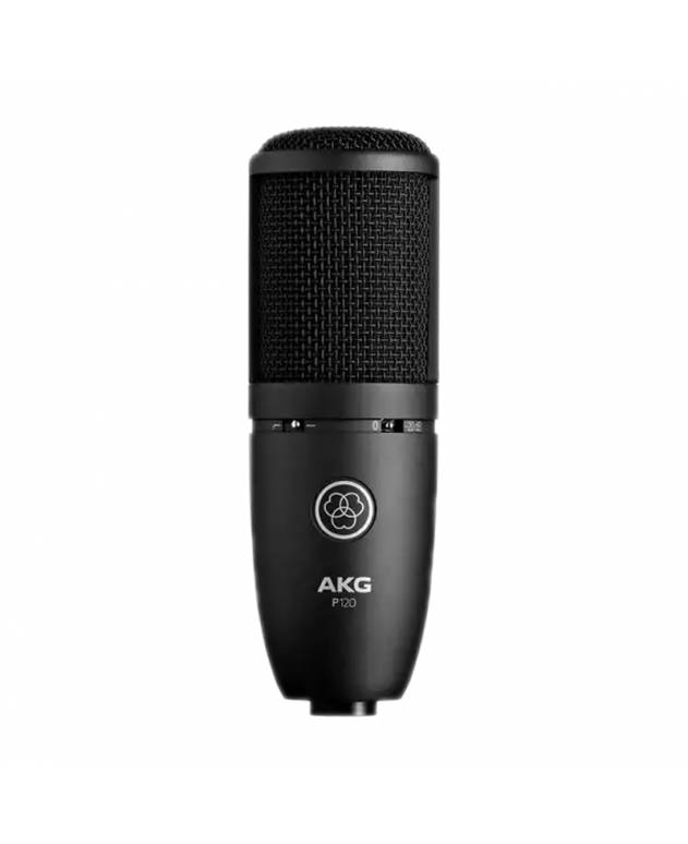 AKG P220 Large Diaphragm Studio Condenser Microphone with Shock